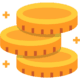 coin icon
