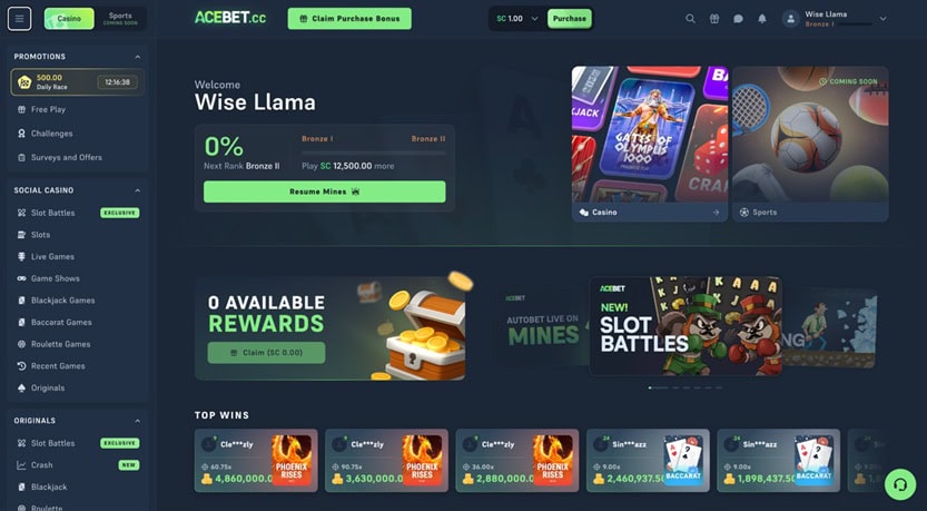 Acebet Homepage